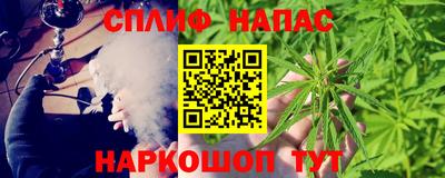 прущие грибы Пенза