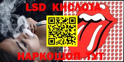 прущие грибы Пенза