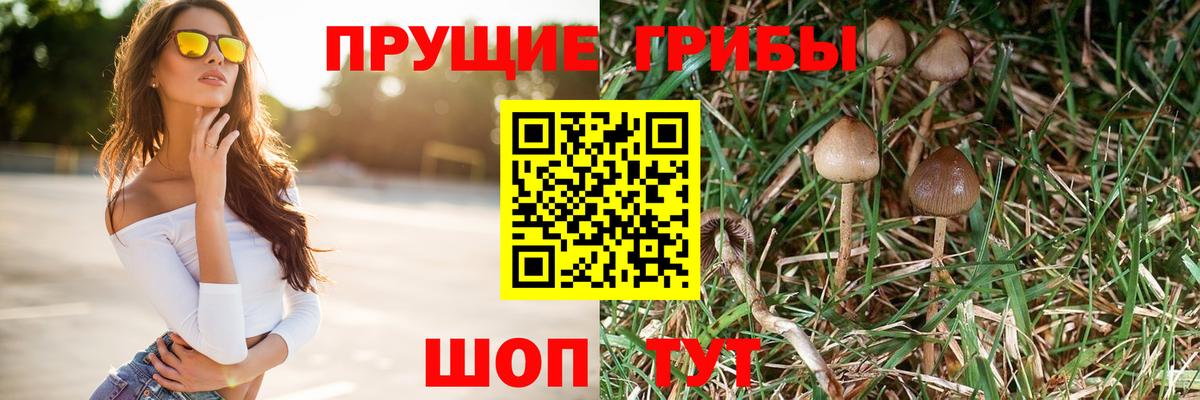 Псилоцибиновые грибы ЛСД Ревда