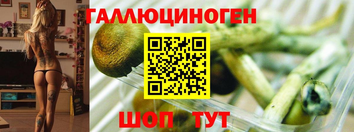 Галлюциногенные грибы MAGIC MUSHROOMS  Галлюциногенные грибы MAGIC MUSHROOMS  Ревда  Вход с VPN 